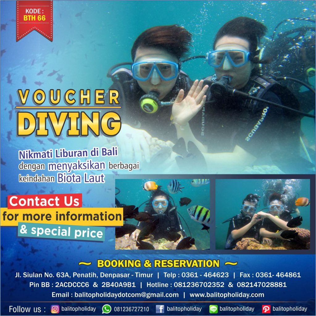 Voucher Diving