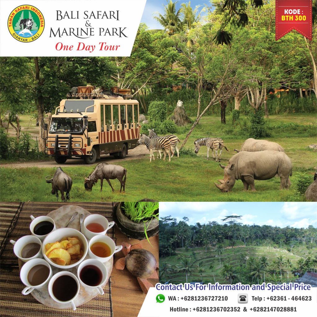Bali safari one day tour